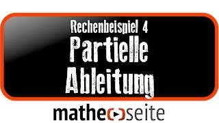 Partielle Ableitung Beispiel 4  A5101 [upl. by Nnaihs]