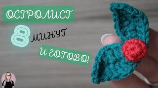 Немного пряжи всего 8 минут и ОСТРОЛИСТ🌿 готов [upl. by Aurilia]