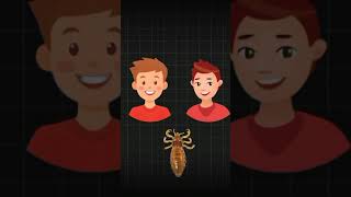 This is how fast how lice can jump from head to head shorts youtubeshorts hair lice didyouknow [upl. by Htevi]