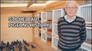 STICHELBAUT PIGEONS HISTORY [upl. by Marbut120]