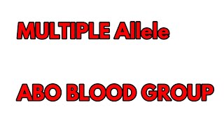 Multiple Allele and ABO Blood Group systemMultiple Allele class 12ABO Blood group System Genetics [upl. by Brewer]