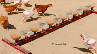 Bebedero y comedero para dar comida y agua fresca a las gallinas y pollos [upl. by Kono]