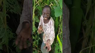 tene tene tene tene short video youtube viral trinding funny shorts trending [upl. by Pruchno]