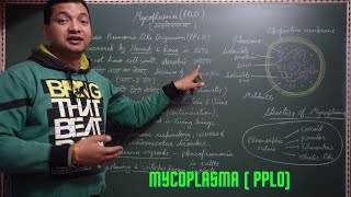 माइकोप्लाज्मा क्या है  माइकोप्लाज्मा के लक्षण रोग महत्व  mycoplasma in hindi  cell structure [upl. by Rebmyk580]