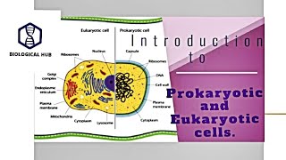 Introduction to Prokaryotic and Eukaryotic cell [upl. by Einberger58]