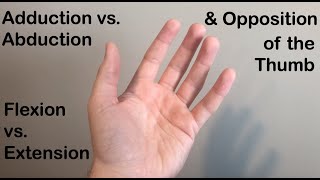 Abduction vs Adduction Flexion vs Extension and Opposition of the Thumb [upl. by Merline]