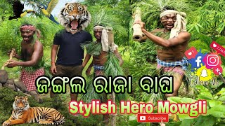 ଜଙ୍ଗଲ ହିରୋ ମୋଗଲି୍  Jangali Comedy  mowgli ki kahani  Anadivlog [upl. by Artemas]