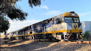 6AM9 with CF4429 EL51 CF4431 at Salisbury North 15112024 [upl. by Mizuki709]