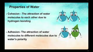 Properties of Water [upl. by Tannie418]