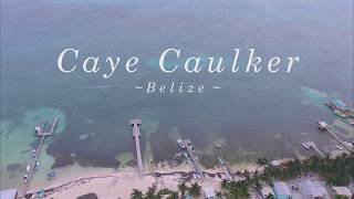 Caye Caulker Belize  Drone Video 2k [upl. by Tigram]