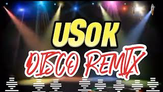 USOK BY ASIN REMIX DISCO [upl. by Mcintyre203]