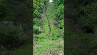 XR650R hill climb from a few years ago hondamotorcycles honda xr650r brp [upl. by Ettenowtna]