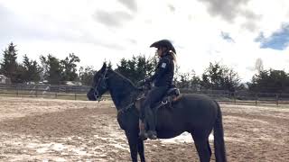 3 Basic Riding Positions To Help Your Gaited Horse Gait [upl. by Janey816]