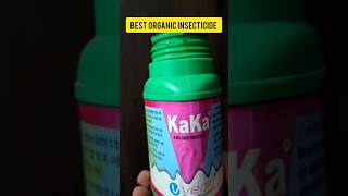 Kaka  The Best Organic Insecticide and Biostimulant for Plants shortvideo shorts [upl. by Latsyrk]