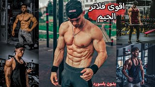 اجمد 5 فلاتر لصور الجيم [upl. by Pricilla]