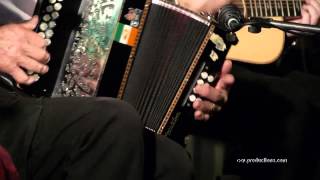 Melbourne Ceilidh Band  Irish Dance Jigs [upl. by Gunilla]