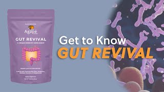 Get to Know Gut Revival [upl. by Arthur]