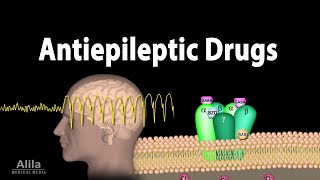 Pharmacology  Antiepileptic Drugs Animation [upl. by Kiran800]