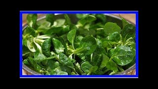 Feldsalat Rezepte 3 Varianten für den gesunden Salat [upl. by Ys926]