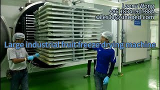 Large industrial fruit freeze drying machine [upl. by Burget]