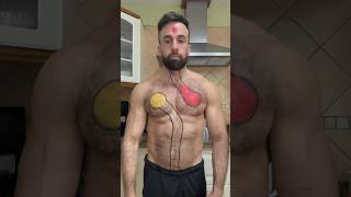 How Junk Food Can Harm Your Heart – The Cholesterol Effect short shorts youtuber fitness [upl. by Agamemnon]