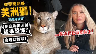 【從零開始養】寵物美洲獅連線專訪超狂俄國飼主背對寵物美洲獅後果恐怖可以嘴對嘴餵食居然會玩保齡球超豪華籠子開箱【許伯簡芝】【國際連線版】pumalondon [upl. by Dryden]