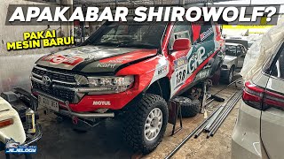 INILAH MODIFIKASI BARU LAND CRUISER 200 SHIROWOLF SEBELUM AXCR 2024 [upl. by Mcquillin]