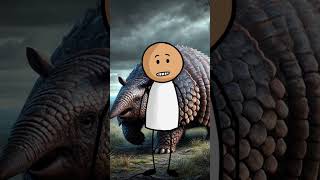 Unknown Fact About Glyptodonreel reels facts viralvideo viral funny all [upl. by Lewse873]