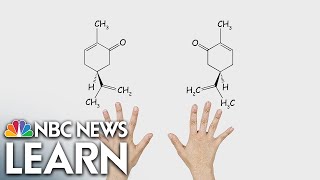 Mirror Molecule Carvone [upl. by Amos]