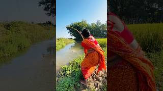 Lady fishing in the paddy field canal with a hook  new fishing  shorts fish fishingtechniques [upl. by Klapp]