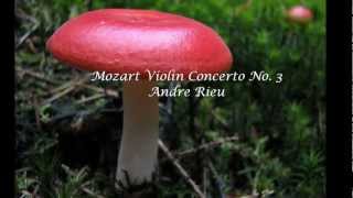 André Rieu  Mozart Violin Concerto No 3 [upl. by Mailiw]