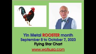 Flying Star Feng Shui  September 2023 [upl. by Staford]