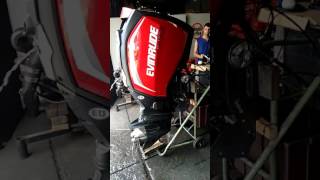 Evinrude ETEC G2 250 Hp [upl. by Novyart627]