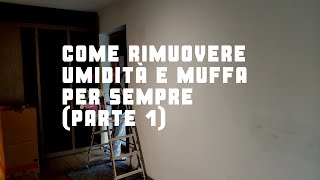 Come rimuovere umidità e muffa per sempre Parte 1 [upl. by Egan]