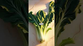 Benefits of Eating Bok Choy healthyfood healthydiet healthyvegetables vegetable bokchoy [upl. by Annalee]