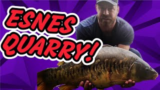 IS THIS PARADISE 👀  ESNES QUARRY 24HR SESSION  CARP FISHING 2023 [upl. by Reidar]