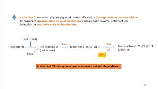 Cours dEndocrinologie vidéo 7  Les Parathyroïdes [upl. by Ellata]