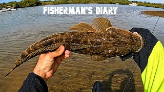 Tingalpa Creek Lure Fishing For Bream And Flathead  Fishermans Diary Ep 759 [upl. by Mcquoid459]