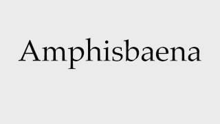 How to Pronounce Amphisbaena [upl. by Terle]