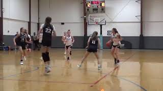 Arctic Rush 2026 v Michigan Mystics Dalton [upl. by Nner]