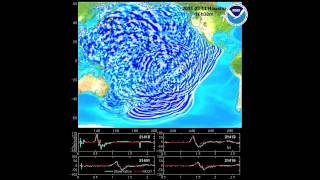 March 11 2011 Honshu Japan tsunami propagation [upl. by O'Mahony]