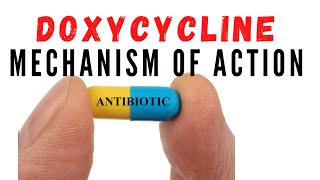 Doxycycline uses against acne and chlamydia  Mechanism of action [upl. by Ailadi]