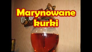 Marynowane kurki  Kwestia Smaku [upl. by Iat]