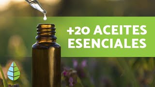 ACEITES ESENCIALES 🪔 Qué son Propiedades y Usos [upl. by Nnairam464]