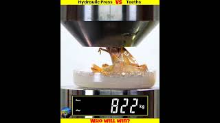 Different Teeth Vs Hydraulic Press shorts whatif uniqueexperiment मजेदारविडिओ [upl. by Nodal269]