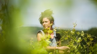 Domaine Fiona Leroy  Les 4 saisons de la vigne [upl. by Brom770]