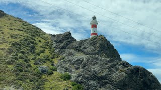 Drive to Cape Palliser Wellington [upl. by Dijam535]