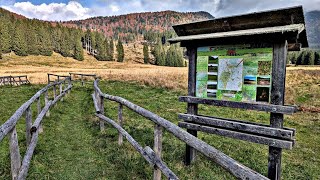 Pian del Cansiglio Torbiera a Piano di Valmenera BL [upl. by Rebbecca306]