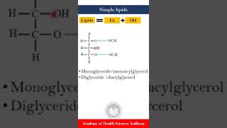 Simple Lipids  Biochemistry  by Imran Yaseen [upl. by Ihtac]