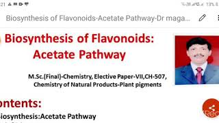 Biosynthesis of Flavonoids Acetate Pathway [upl. by Buna]